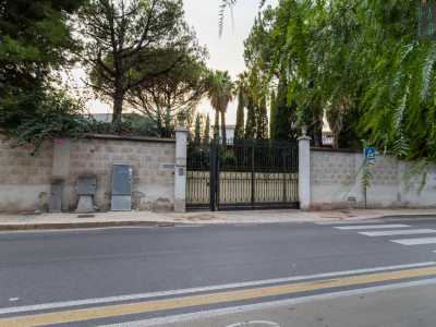 Costeggiamo dunque un lungo muro in pietra, oltre il quale vi sono altissimi pini che celano l�abbazia di Santa Scolastica. Il monastero venne eretto nel 1984 come nuova �casa� del secolare ordine religioso nato a Bari Vecchia